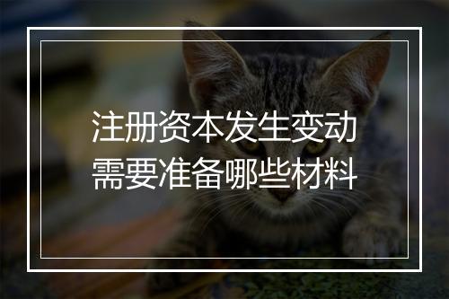 注册资本发生变动需要准备哪些材料