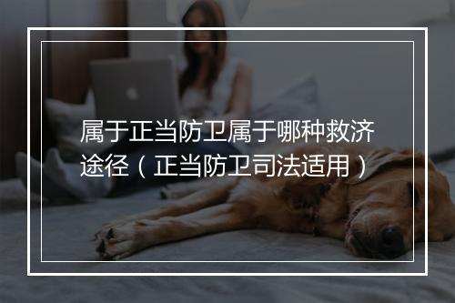 属于正当防卫属于哪种救济途径（正当防卫司法适用）