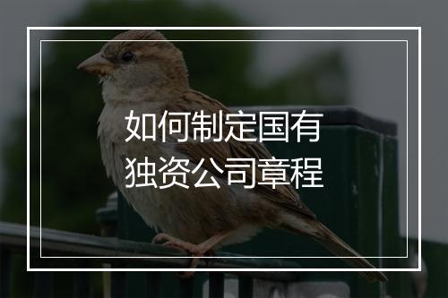 如何制定国有独资公司章程