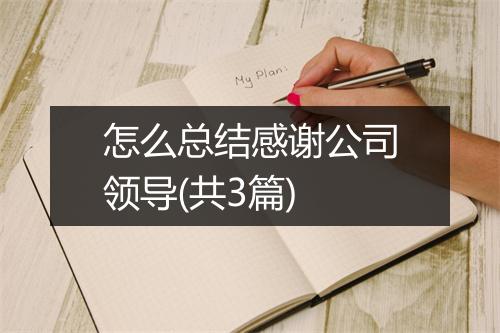 怎么总结感谢公司领导(共3篇)