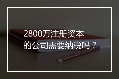2800万注册资本的公司需要纳税吗？