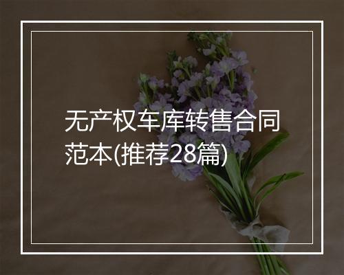 无产权车库转售合同范本(推荐28篇)