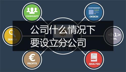 公司什么情况下要设立分公司