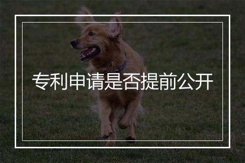 专利申请是否提前公开