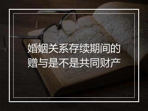 婚姻关系存续期间的赠与是不是共同财产