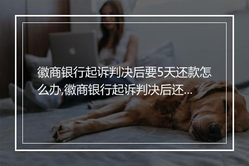 徽商银行起诉判决后要5天还款怎么办,徽商银行起诉判决后还款流程及注意事项