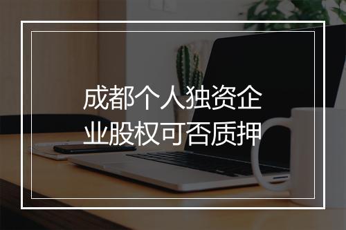 成都个人独资企业股权可否质押