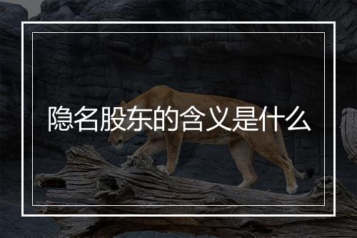 隐名股东的含义是什么