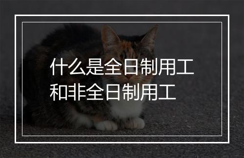 什么是全日制用工和非全日制用工