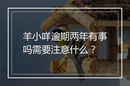 羊小咩逾期两年有事吗需要注意什么？