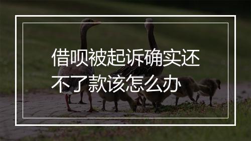 借呗被起诉确实还不了款该怎么办
