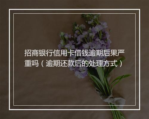 招商银行信用卡借钱逾期后果严重吗（逾期还款后的处理方式）