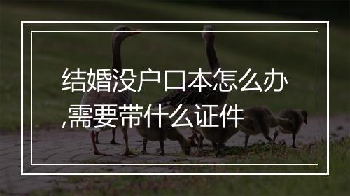 结婚没户口本怎么办,需要带什么证件
