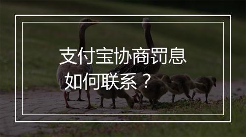 支付宝协商罚息 如何联系？