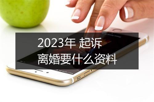 2023年 起诉离婚要什么资料
