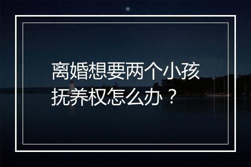 离婚想要两个小孩抚养权怎么办？