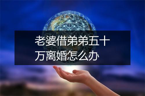 老婆借弟弟五十万离婚怎么办