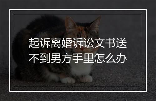 起诉离婚诉讼文书送不到男方手里怎么办