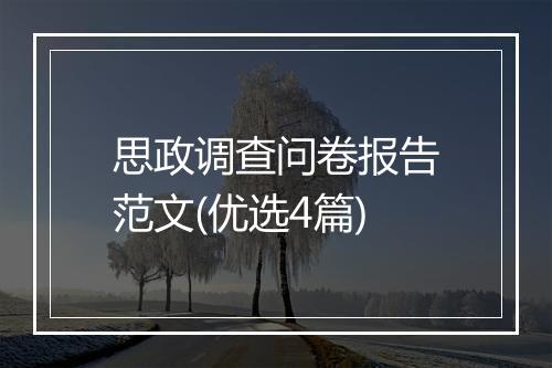 思政调查问卷报告范文(优选4篇)