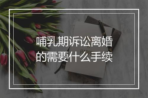 哺乳期诉讼离婚的需要什么手续