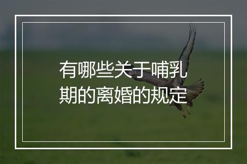 有哪些关于哺乳期的离婚的规定