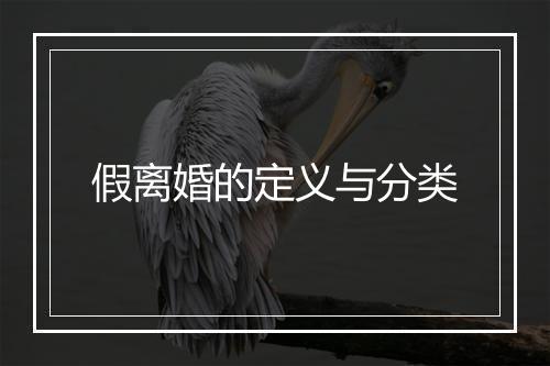 假离婚的定义与分类