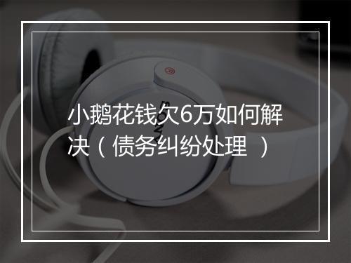 小鹅花钱欠6万如何解决（债务纠纷处理 ）