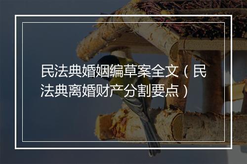 民法典婚姻编草案全文（民法典离婚财产分割要点）