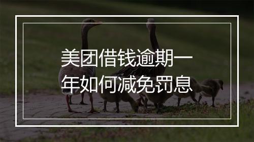 美团借钱逾期一年如何减免罚息