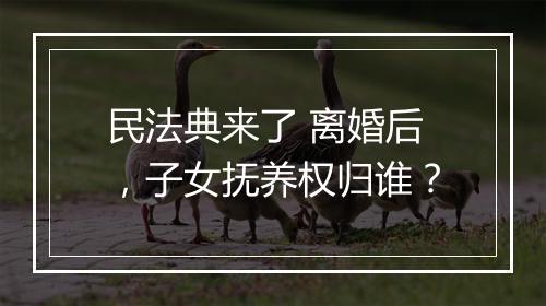 民法典来了 离婚后，子女抚养权归谁？