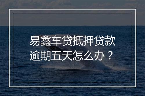 易鑫车贷抵押贷款逾期五天怎么办？