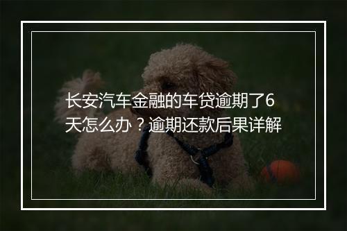 长安汽车金融的车贷逾期了6天怎么办？逾期还款后果详解