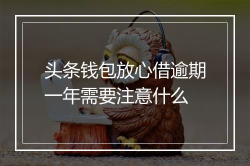 头条钱包放心借逾期一年需要注意什么