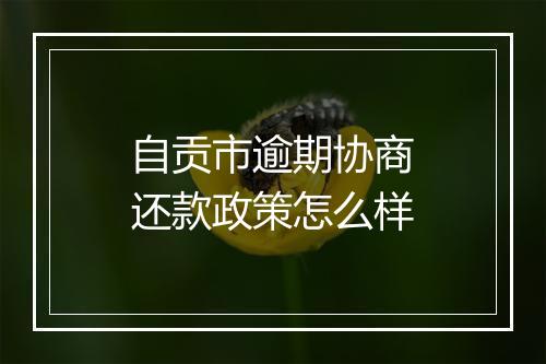 自贡市逾期协商还款政策怎么样