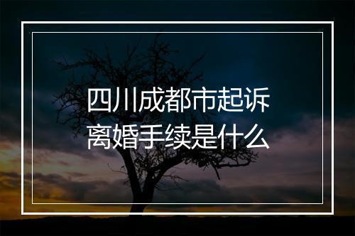 四川成都市起诉离婚手续是什么