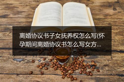 离婚协议书子女抚养权怎么写(怀孕期间离婚协议书怎么写女方)