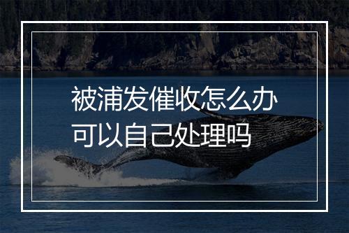 被浦发催收怎么办可以自己处理吗