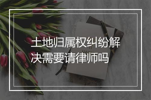 土地归属权纠纷解决需要请律师吗