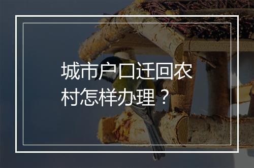 城市户口迁回农村怎样办理？