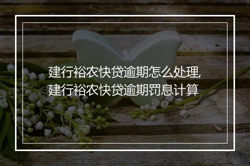 建行裕农快贷逾期怎么处理,建行裕农快贷逾期罚息计算
