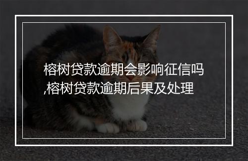 榕树贷款逾期会影响征信吗,榕树贷款逾期后果及处理