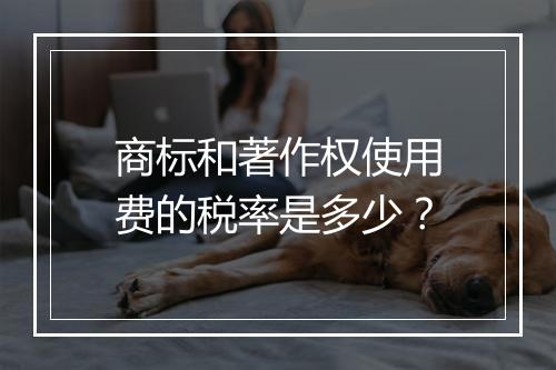 商标和著作权使用费的税率是多少？