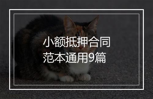 小额抵押合同范本通用9篇