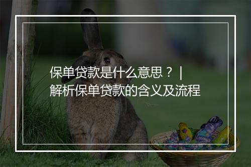 保单贷款是什么意思？ | 解析保单贷款的含义及流程