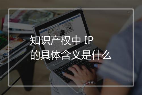 知识产权中 IP 的具体含义是什么