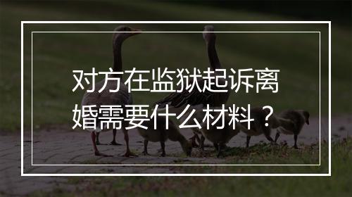 对方在监狱起诉离婚需要什么材料？