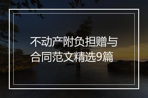 不动产附负担赠与合同范文精选9篇