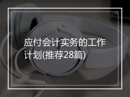 应付会计实务的工作计划(推荐28篇)