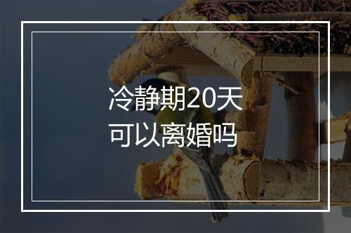 冷静期20天可以离婚吗