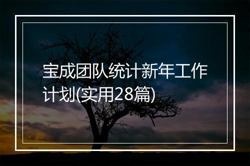 宝成团队统计新年工作计划(实用28篇)
